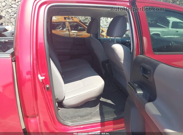3TYCZ5AN9PT165700 2023 TOYOTA TACOMA Красный Вид наклейки с VIN-кодом