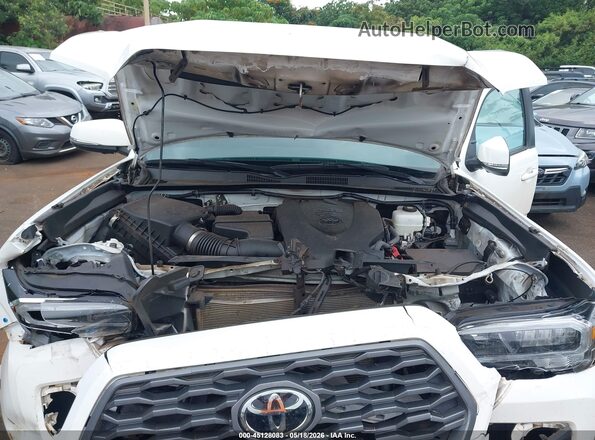 3TYCZ5ANXPT159775 2023 TOYOTA TACOMA White Rear view