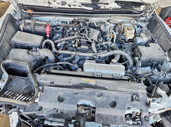 3TYLB5JN2RT003348 2024 TOYOTA TACOMA White 
