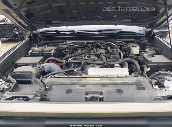 3TYLB5JN3RT015590 2024 TOYOTA TACOMA Green Вид ззаду
