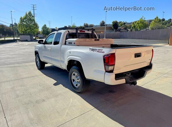 3TYRZ5CN4PT034259 2023 TOYOTA TACOMA White Tył prawy