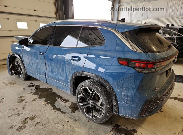 3VVLR7RM8SM049711 2025 VOLKSWAGEN TIGUAN Blue Tył lewy