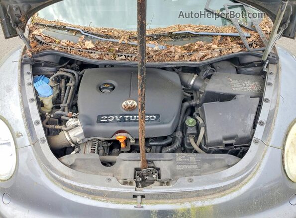 3VWCD31C65M412579 2005 VOLKSWAGEN BEETLE Gray Widok wnętrza z tyłu