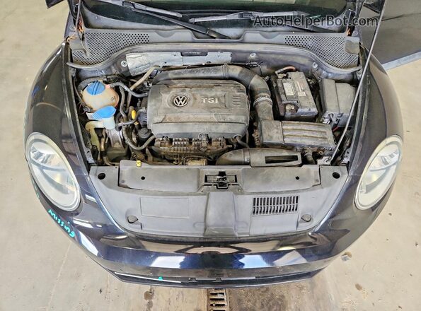3VWF17ATXGM610517 2016 VOLKSWAGEN BEETLE Black 