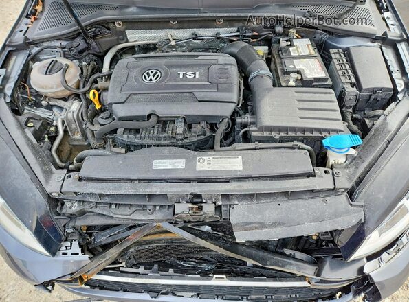 3VWH17AU8HM526439 2017 VOLKSWAGEN GOLF Gray Вид задньої частини салону