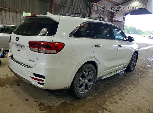 5XYPK4A55HG251631 2017 KIA SORENTO White 