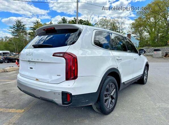 5XYP2DGC8PG353106 2023 KIA TELLURIDE Белый Передняя правая четверть