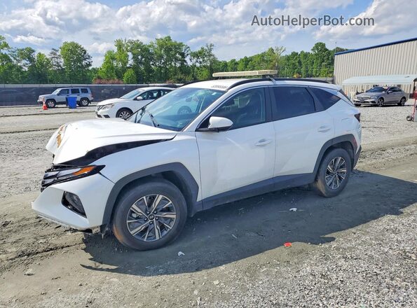 KM8JBCD18RU156520 2024 HYUNDAI TUCSON White 