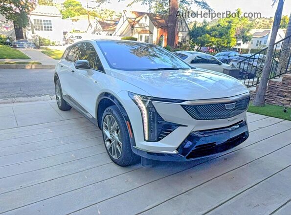 3GYK3BMR3SS224163 2025 CADILLAC OPTIQ White Задня ліва чверть