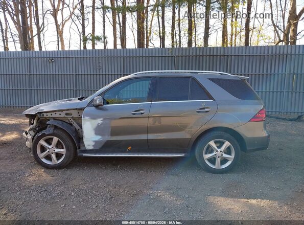 4JGDA5HBXHA897864 2017 MERCEDES-BENZ GLE 350 Gray Widok wnętrza 360 stopni
