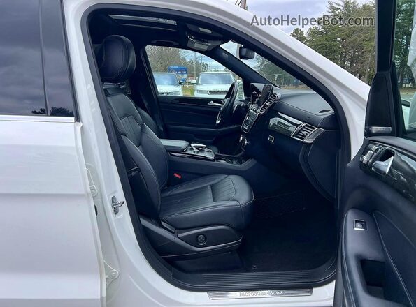 4JGDF6EE6KB226666 2019 MERCEDES-BENZ GLS Белый 