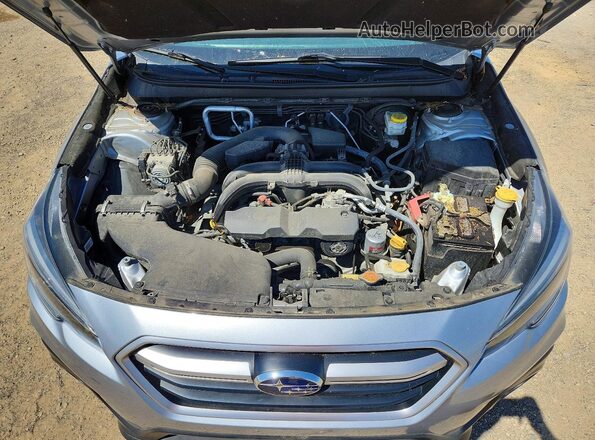 4S4BSABC1K3374789 2019 SUBARU OUTBACK Silver Vista interior trasera