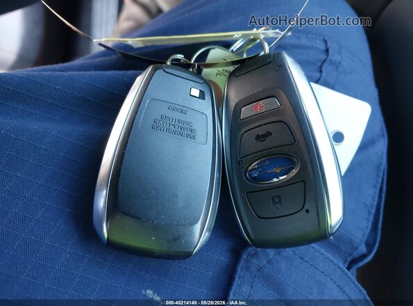 4S4BTALC0S3301764 2025 SUBARU OUTBACK Gray Vista del salpicadero