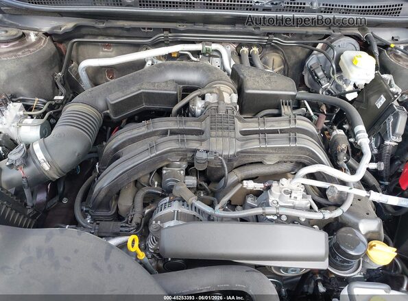 4S4BTAPC0S3156977 2025 SUBARU OUTBACK Burgundy Vista trasera