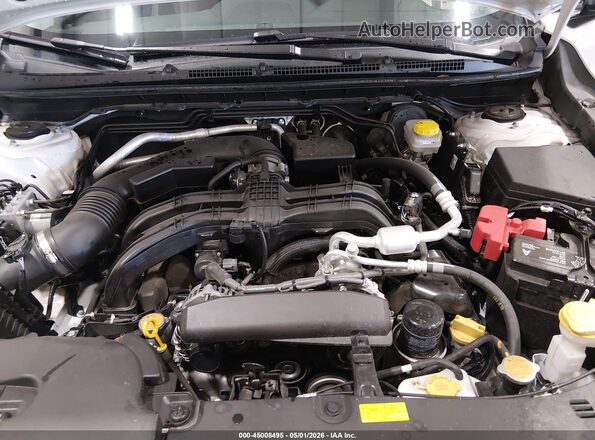 4S4GUHM62R3778744 2024 SUBARU CROSSTREK Белый Вид сзади
