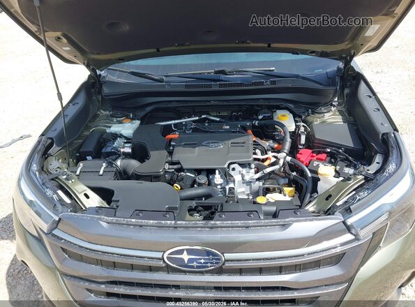 4S4SLSE76T3094885 2026 SUBARU FORESTER Green Widok z tyłu