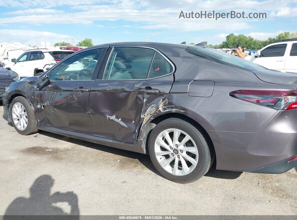 4T1C11BK3MU045023 2021 TOYOTA CAMRY Gray Սալոնի հետևի տեսք