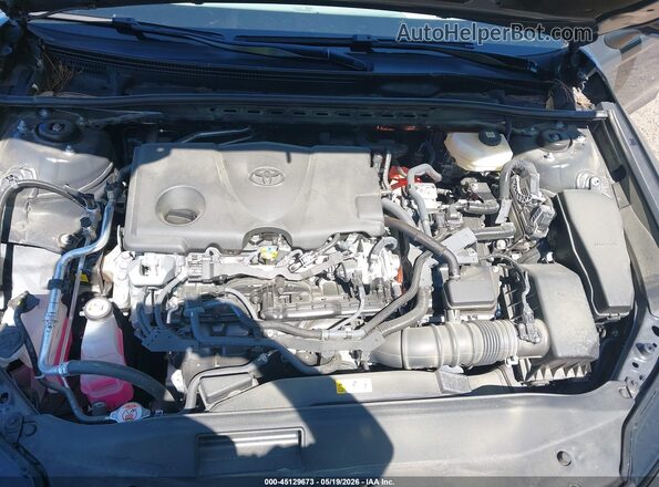 4T1DAACK0SU595876 2025 TOYOTA CAMRY Gray Widok z tyłu