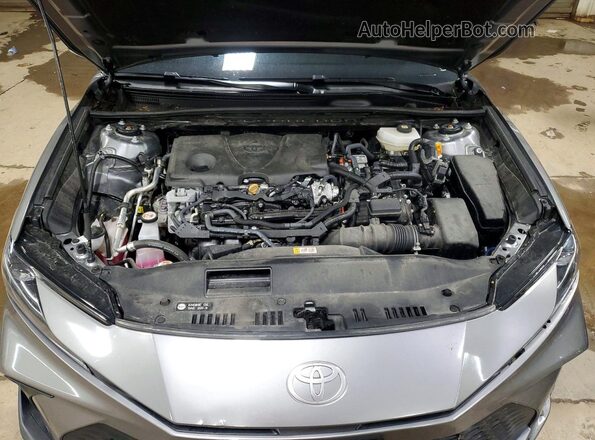 4T1DAACK2SU533895 2025 TOYOTA CAMRY Серый 