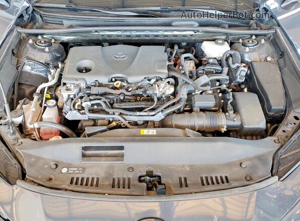 4T1DAACK9SU590028 2025 TOYOTA CAMRY Серый Вид задней части салона