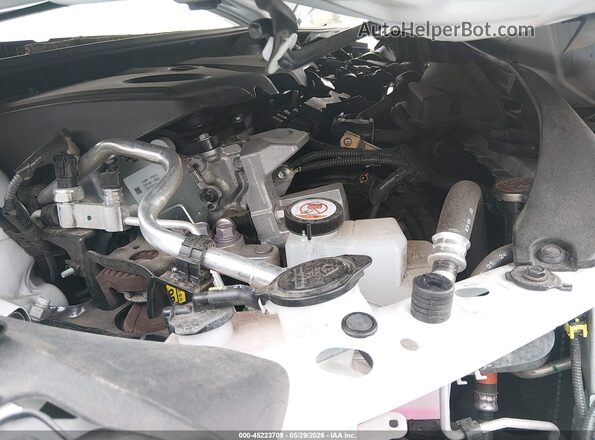 4T1DBADK2SU501749 2025 TOYOTA CAMRY Белый Вид сзади
