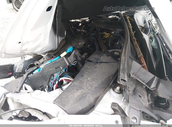4T1DBADK2SU501749 2025 TOYOTA CAMRY Белый 