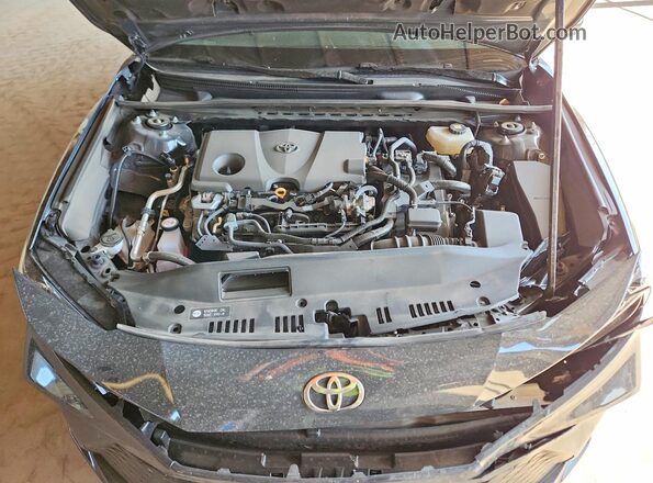 4T1DBADK3SU029254 2025 TOYOTA CAMRY Угольный Вид задней части салона