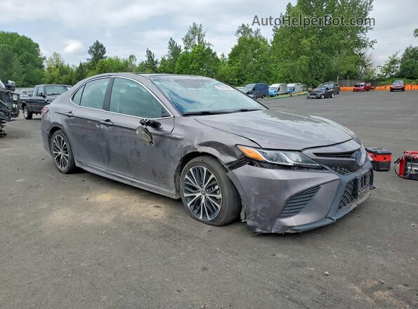 4T1J31AK4LU534368 2020 TOYOTA CAMRY Gray 