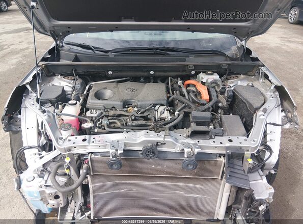 4T3D6RFV5MU011682 2021 TOYOTA RAV4 HYBRID Gray Вид ззаду