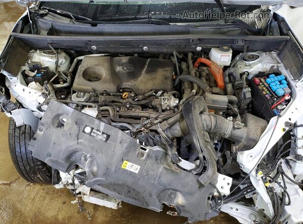 4T3D6RFV5PU133608 2023 TOYOTA RAV4 White Вид задньої частини салону