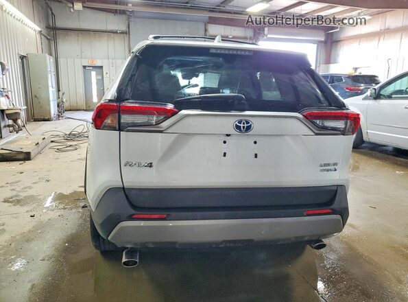 4T3D6RFV5PU133608 2023 TOYOTA RAV4 White Вид ззаду