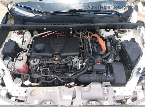 4T3DWRFV3LU005331 2020 TOYOTA LIMITED White Vista trasera