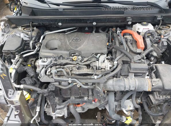 4T3E6RFV3MU063218 2021 TOYOTA RAV4 HYBRID Gray Вид ззаду