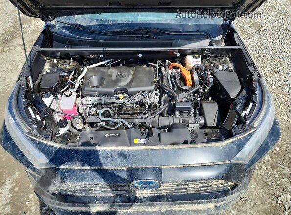 4T3LWRFV3PU091144 2023 TOYOTA RAV4 Black 