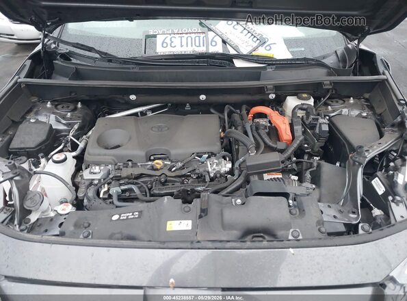 4T3LWRFV5SU190654 2025 TOYOTA RAV4 HYBRID Gray Вид ззаду