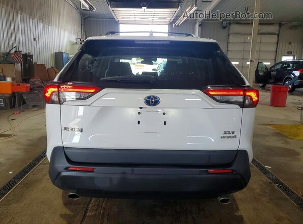 4T3RWRFV3PU108227 2023 TOYOTA RAV4 Белый 