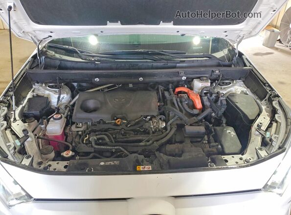 4T3RWRFV3PU108227 2023 TOYOTA RAV4 Белый 