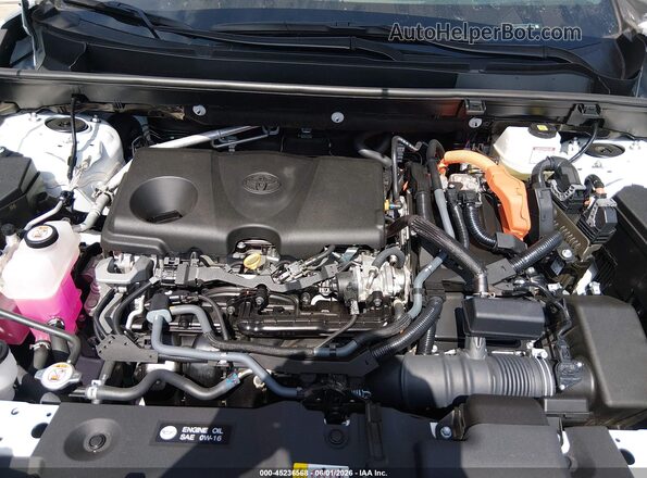 4T3RWRFV4RU122995 2024 TOYOTA RAV4 HYBRID Белый Вид сзади