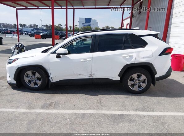 4T3RWRFV4RU122995 2024 TOYOTA RAV4 HYBRID Белый Панорамный вид салона 360°