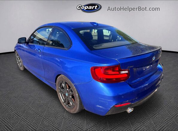 WBA1J9C53GV371709 2016 BMW M2 Синий Задняя правая четверть