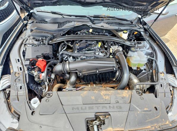 1FAGP8UH0T5109497 2026 FORD MUSTANG Серый 