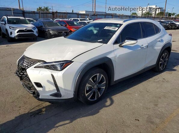 JTHX6JBH5R2191078 2024 LEXUS UX Белый Задняя левая четверть