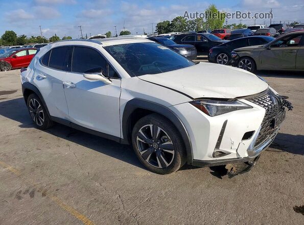 JTHX6JBH5R2191078 2024 LEXUS UX Белый Вид спереди