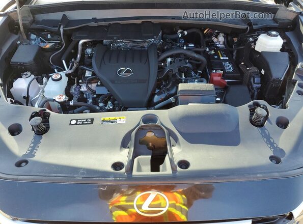 5TDAAAA62RS001221 2024 LEXUS TX Черный 