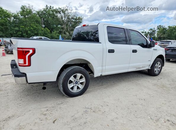 1FTEW1CG5HFB12000 2017 FORD F150 White 