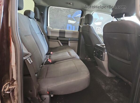 1FTEW1EP5KKC97788 2019 FORD F150 Burgundy 