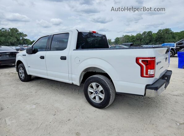1FTEW1CG5HFB12000 2017 FORD F150 White 