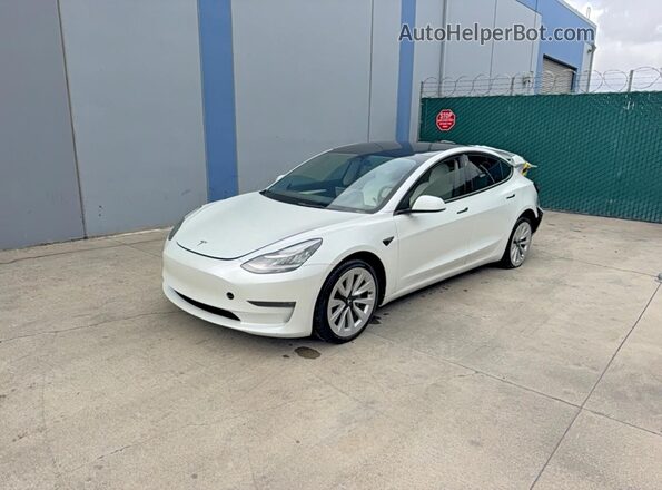 5YJ3E1EB1NF241508 2022 TESLA MODEL White 