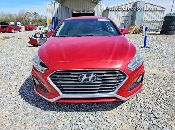 5NPE24AF6KH804951 2019 HYUNDAI SONATA Red 