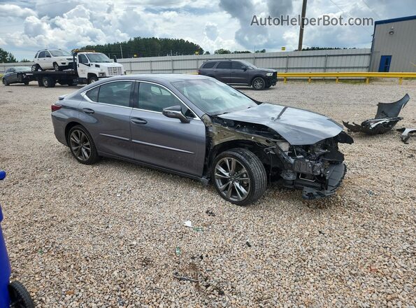 58ABZ1B16KU010252 2019 LEXUS ES Gray 